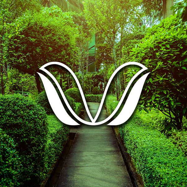 Tropical Landscaping Garden